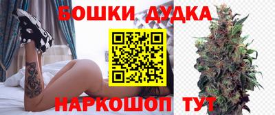 сатива Краснодар