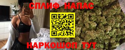 сатива Краснодар
