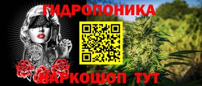 сатива Краснодар