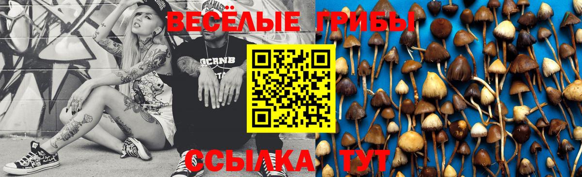 Галлюциногенные грибы GOLDEN TEACHER  Галлюциногенные грибы Psilocybine cubensis  Избербаш  Вход с VPN 